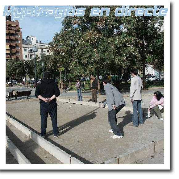 Myotragus, Myotragus en directe Myotragus, Myotragus en directe