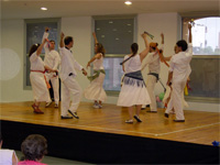 Associaci� Cultural Va de bot! a Barcelona
